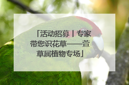 活动招募丨专家带您识花草——萱草属植物专场