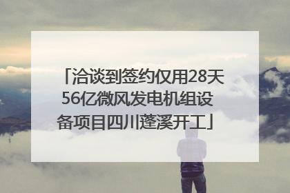 洽谈到签约仅用28天 56亿微风发电机组设备项目四川蓬溪开工