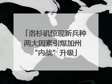 洛杉矶惊现新兵种 两大因素引爆加州“内战”升级