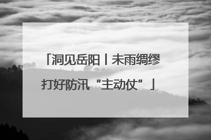 洞见岳阳丨未雨绸缪 打好防汛“主动仗”