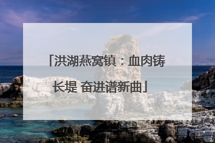 洪湖燕窝镇：血肉铸长堤 奋进谱新曲