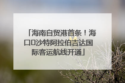 海南自贸港首条！海口⇌沙特阿拉伯吉达国际客运航线开通