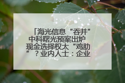 海光信息“吞并”中科曙光预案出炉 现金选择权太“鸡肋”？业内人士：企业不想大量现金流出