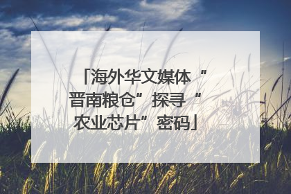 海外华文媒体“晋南粮仓”探寻“农业芯片”密码