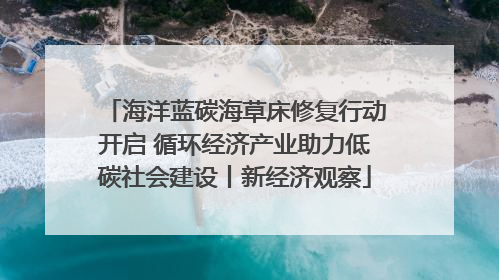 海洋蓝碳海草床修复行动开启 循环经济产业助力低碳社会建设丨新经济观察