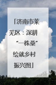济南市莱芜区：深耕“一株桑” 绘就乡村振兴图