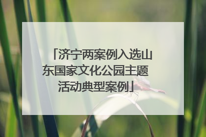 济宁两案例入选山东国家文化公园主题活动典型案例