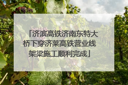济滨高铁济南东特大桥下穿济莱高铁营业线架梁施工顺利完成