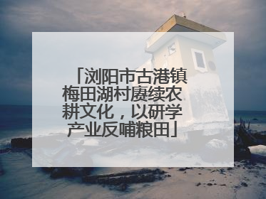 浏阳市古港镇梅田湖村赓续农耕文化，以研学产业反哺粮田