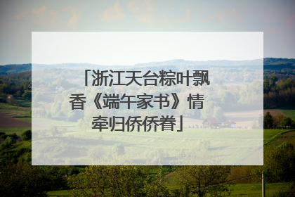 浙江天台粽叶飘香《端午家书》情牵归侨侨眷