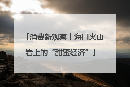消费新观察丨海口火山岩上的“甜蜜经济”