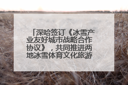深哈签订《冰雪产业友好城市战略合作协议》，共同推进两地冰雪体育文化旅游高质量发展
