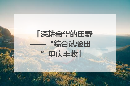 深耕希望的田野——“综合试验田”里庆丰收