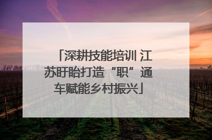 深耕技能培训 江苏盱眙打造“职”通车赋能乡村振兴