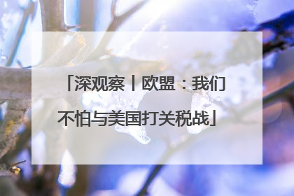 深观察丨欧盟：我们不怕与美国打关税战
