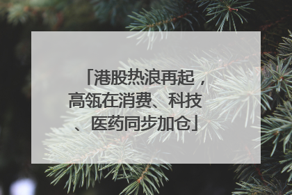 港股热浪再起，高瓴在消费、科技、医药同步加仓