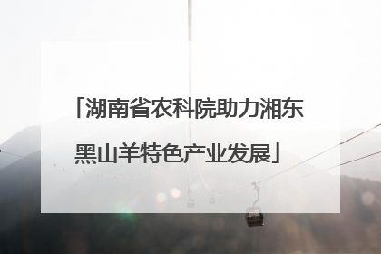 湖南省农科院助力湘东黑山羊特色产业发展