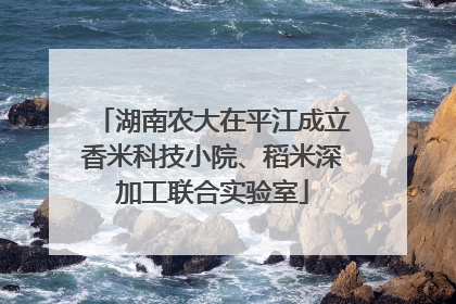 湖南农大在平江成立香米科技小院、稻米深加工联合实验室