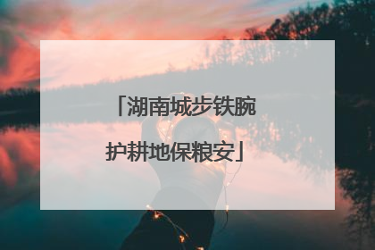 湖南城步铁腕护耕地保粮安