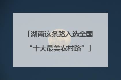 湖南这条路入选全国“十大最美农村路”