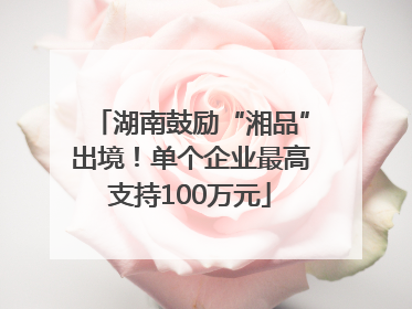 湖南鼓励“湘品”出境！单个企业最高支持100万元
