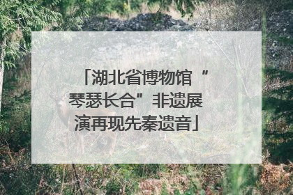 湖北省博物馆“琴瑟长合”非遗展演再现先秦遗音