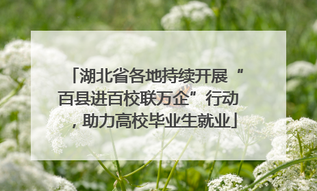 湖北省各地持续开展“百县进百校联万企”行动，助力高校毕业生就业