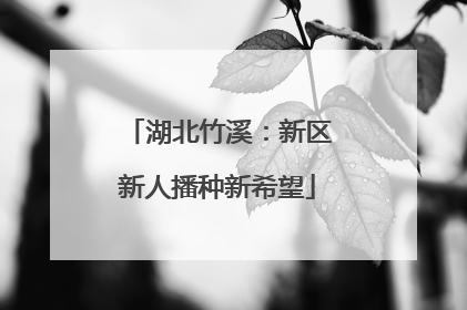湖北竹溪：新区新人播种新希望