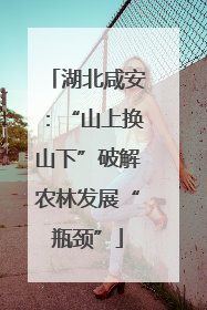 湖北咸安：“山上换山下”破解农林发展“瓶颈”