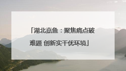 湖北嘉鱼：聚焦痛点破难题 创新实干优环境