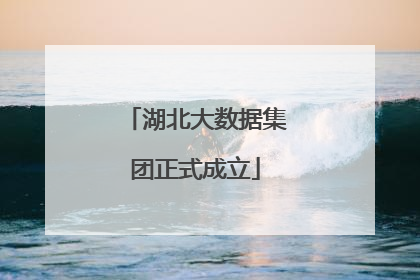 湖北大数据集团正式成立