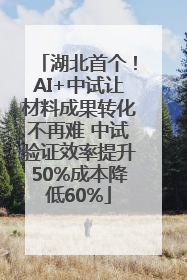 湖北首个！AI+中试让材料成果转化不再难 中试验证效率提升50%成本降低60%