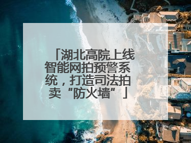 湖北高院上线智能网拍预警系统，打造司法拍卖“防火墙”
