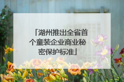 湖州推出全省首个童装企业商业秘密保护标准