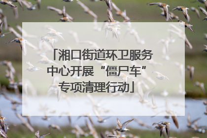 湘口街道环卫服务中心开展“僵尸车”专项清理行动