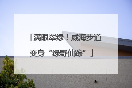 满眼翠绿！威海步道变身“绿野仙踪”