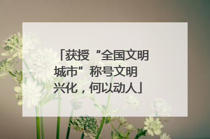获授“全国文明城市”称号文明 兴化，何以动人