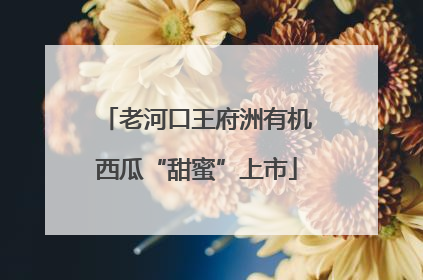 老河口王府洲有机西瓜“甜蜜”上市