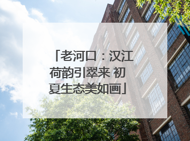 老河口：汉江荷韵引翠来 初夏生态美如画