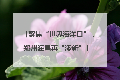 聚焦“世界海洋日”，郑州海昌再“添新”