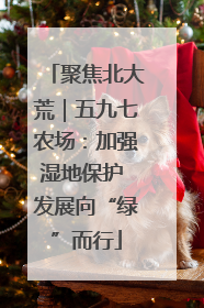 聚焦北大荒｜五九七农场：加强湿地保护 发展向“绿”而行