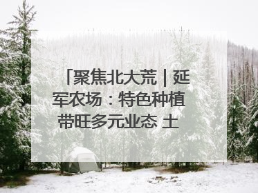 聚焦北大荒｜延军农场：特色种植带旺多元业态 土地焕发新活力