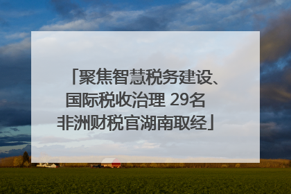 聚焦智慧税务建设、国际税收治理 29名非洲财税官湖南取经