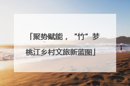 聚势赋能，“竹”梦桃江乡村文旅新蓝图