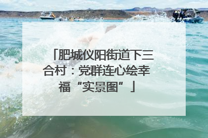 肥城仪阳街道下三合村：党群连心绘幸福“实景图”