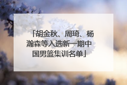 胡金秋、周琦、杨瀚森等入选新一期中国男篮集训名单