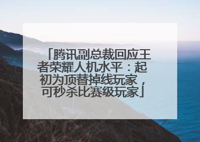 腾讯副总裁回应王者荣耀人机水平：起初为顶替掉线玩家，可秒杀比赛级玩家