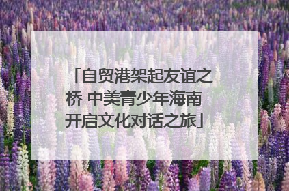 自贸港架起友谊之桥 中美青少年海南开启文化对话之旅