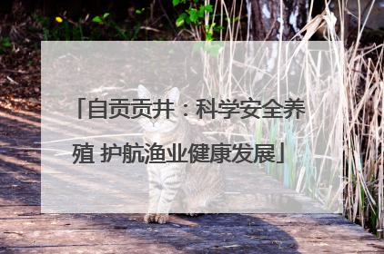 自贡贡井：科学安全养殖 护航渔业健康发展