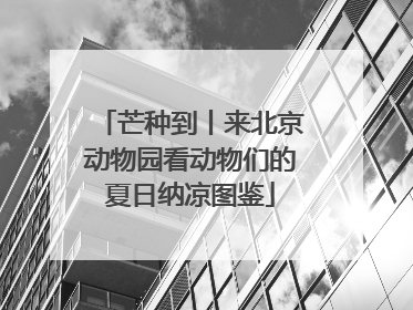 芒种到丨来北京动物园看动物们的夏日纳凉图鉴